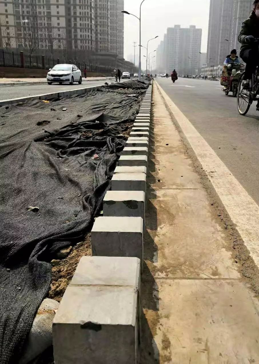 石家庄:建海绵城市,用上"开口路缘石" 可浇灌花草树木,积蓄雨水