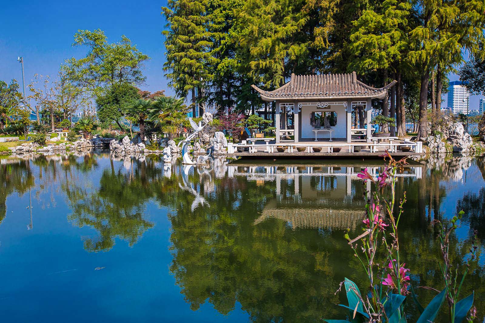 玄武湖公園:南京最大的文化休閒公園,風景讓人很放鬆