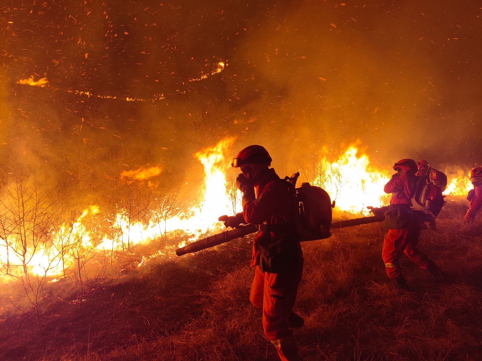 山西沁源3·14森林火灾6名牺牲消防员被批准为烈士