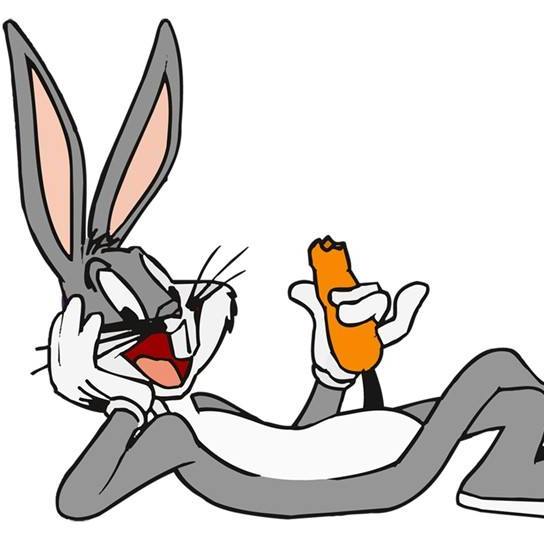 喜欢吃胡萝卜的兔八哥 03-2500:18