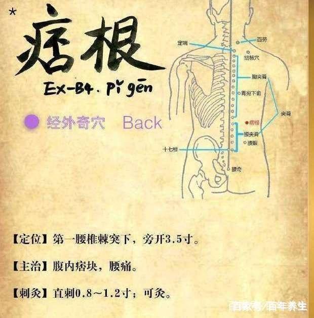 痞根穴:健脾和胃,理气止痛,消除结节!