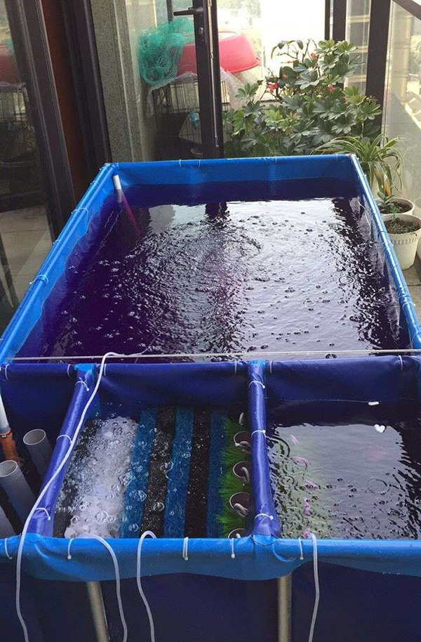 刀刮帆布养鱼池 - 2020年最新商品信息聚合专区 - 百度爱采购