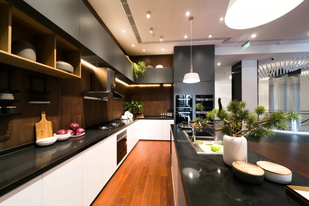 健康生活方式萌动,加速中国厨房标准配置再扩容-家电圈官网