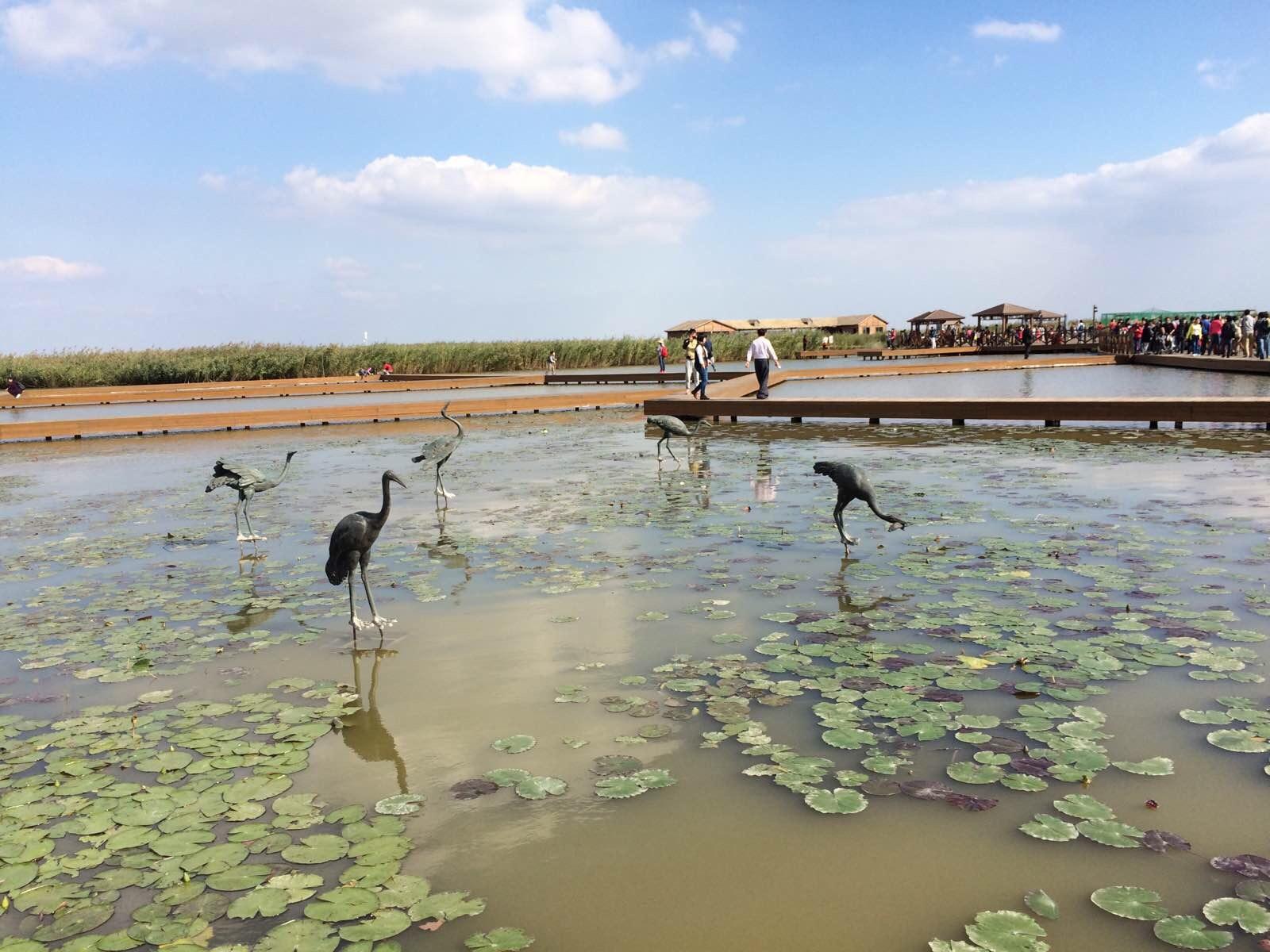 天津市七里海,武漢解放公園……細數那些花草鮮豔的旅遊休閒場所