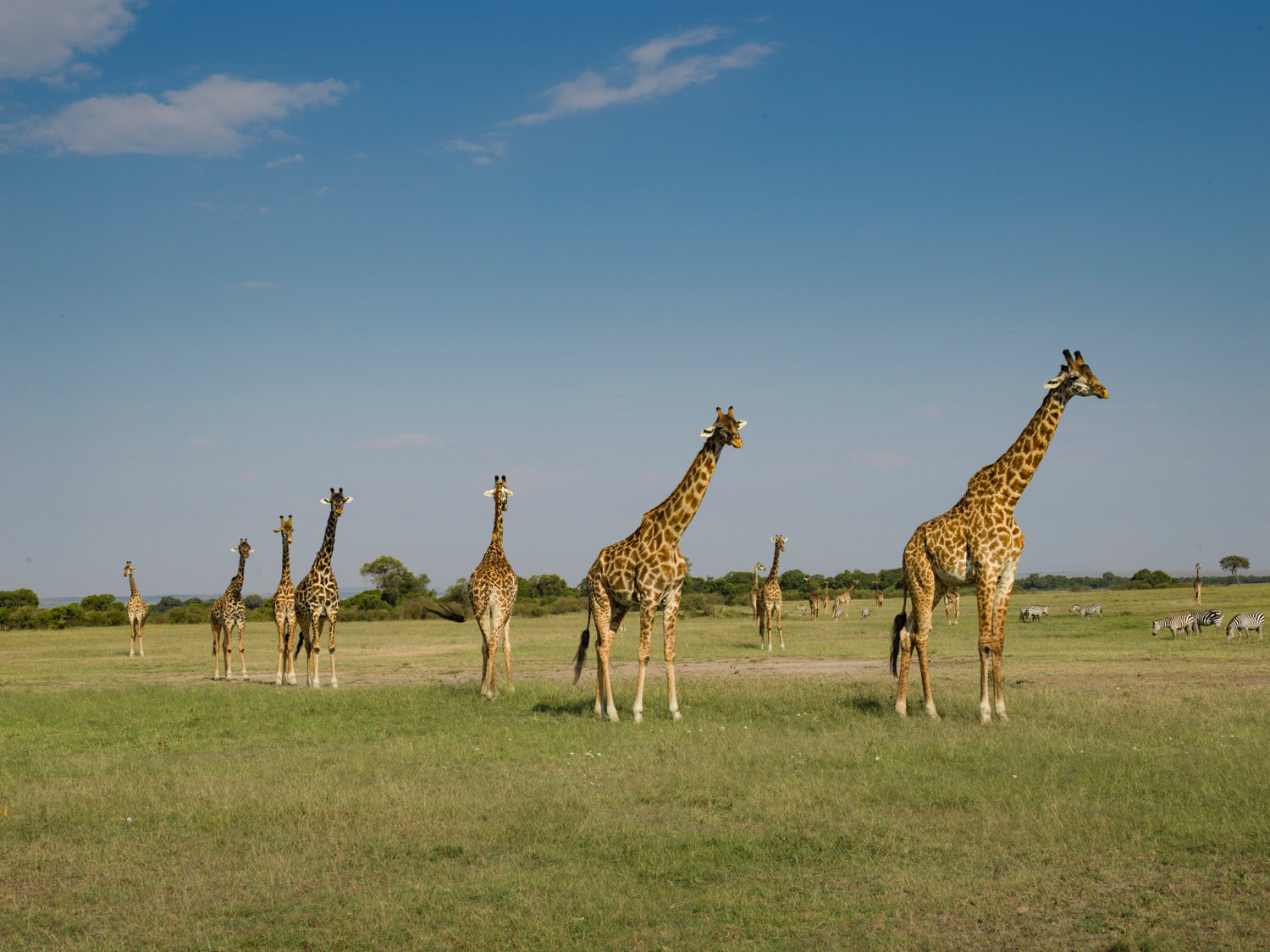 风光摄影:马赛马拉国家公园