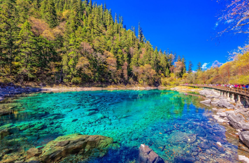 它是九寨沟湖泊中的精粹,干净而又漂亮,一眼过去就能看到湖底.