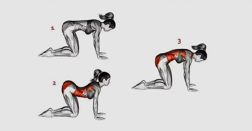 瑜伽入门瑜伽初级体式:猫伸展式一,猫伸展式二,新月式,门闩式