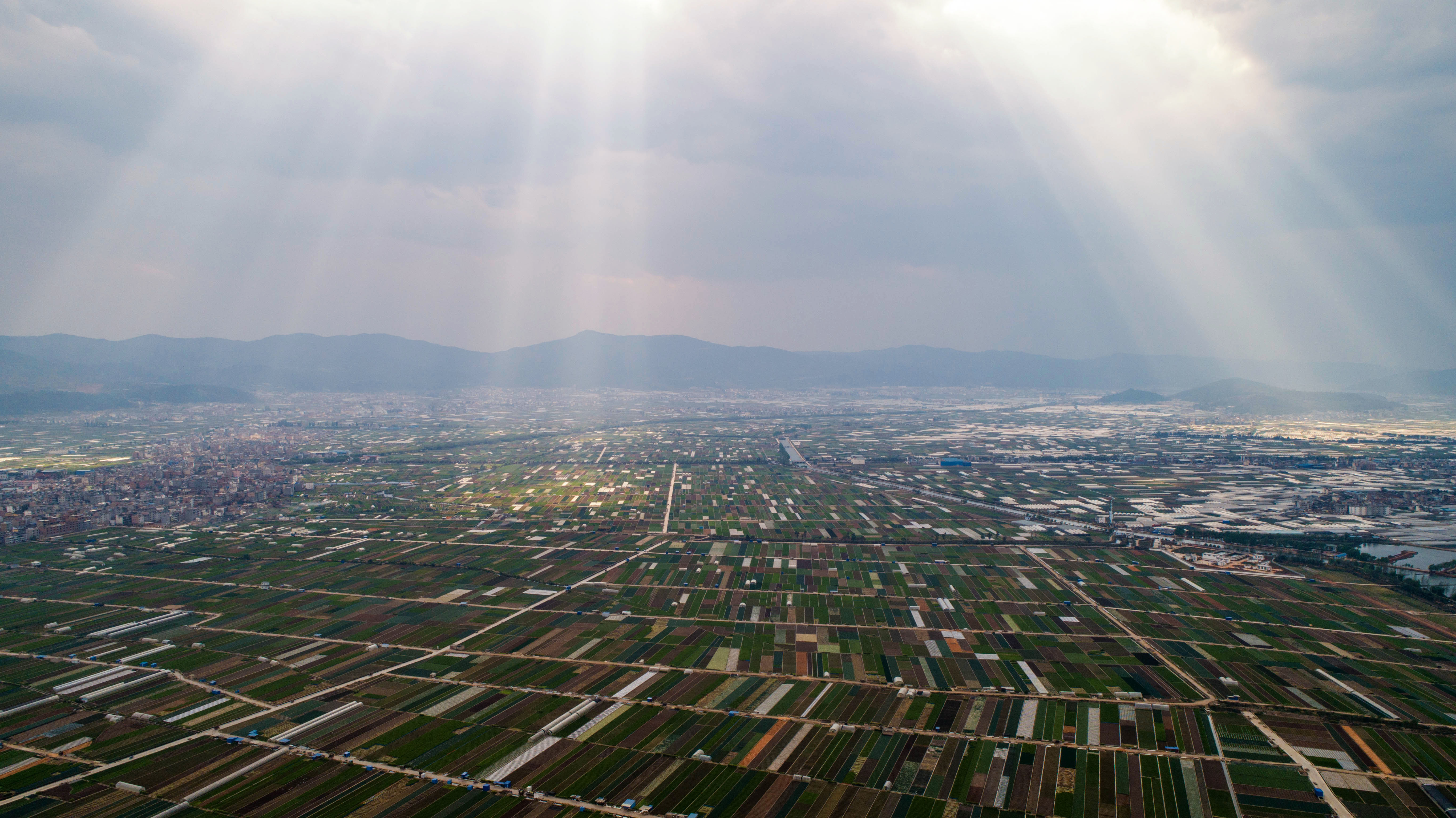 云南通海:春日田园美如画
