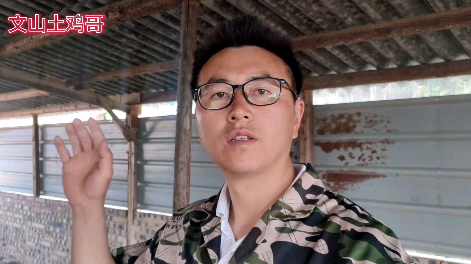 小鸡感染鼻炎都有哪些症状,一定是日常管理出问题了