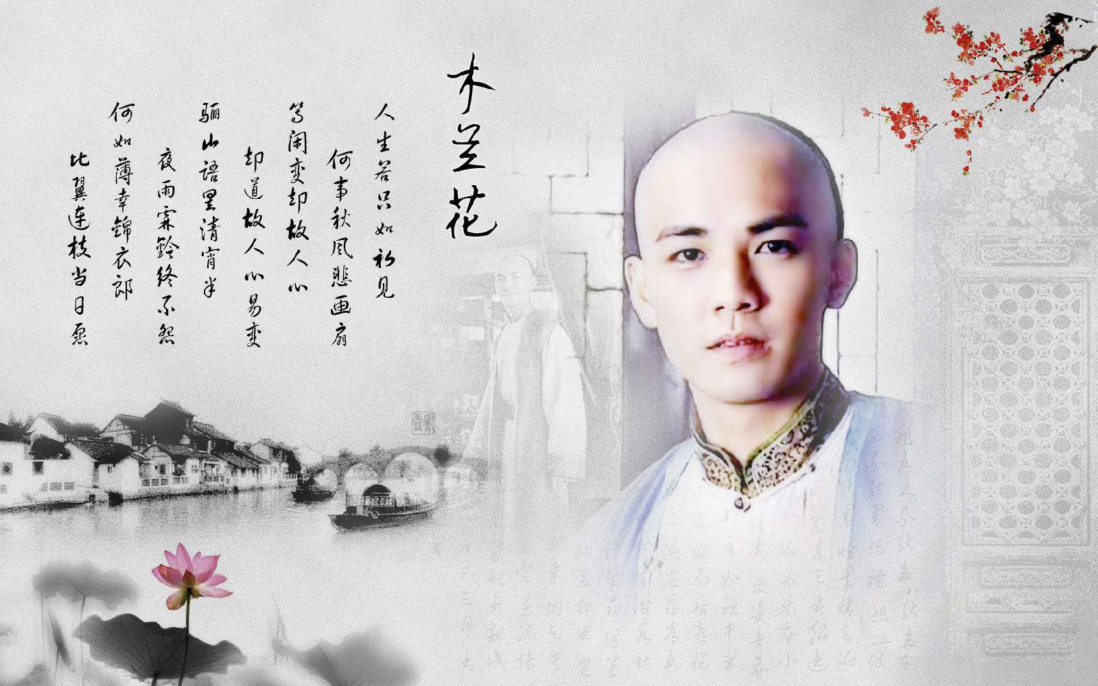 情深不寿慧极必伤(情深不寿慧极必伤小说)