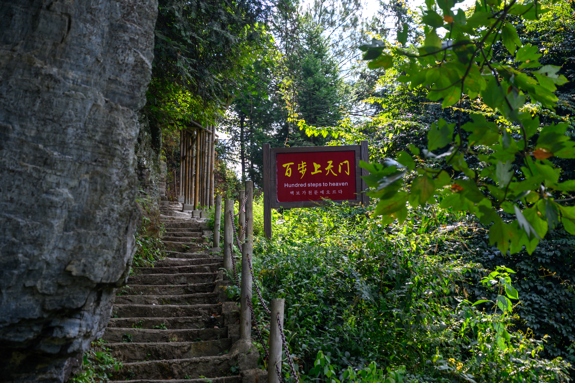 华东大裂谷,安徽宁国最著名的旅游景点,通体封闭如世外桃源