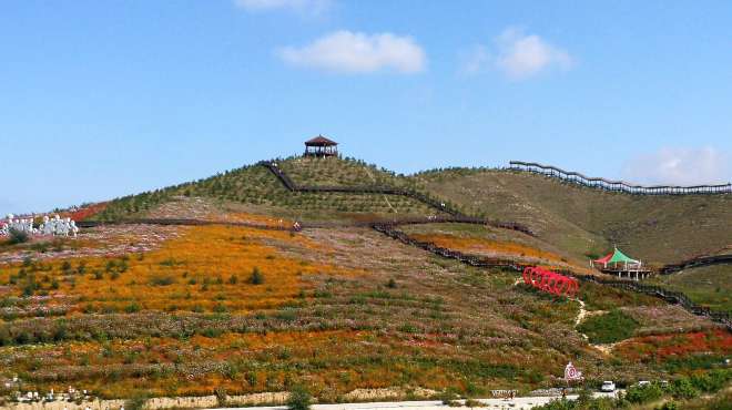 [图]内蒙古赤峰市城区附近有一座花山、一片花海，你不想去看一看吗