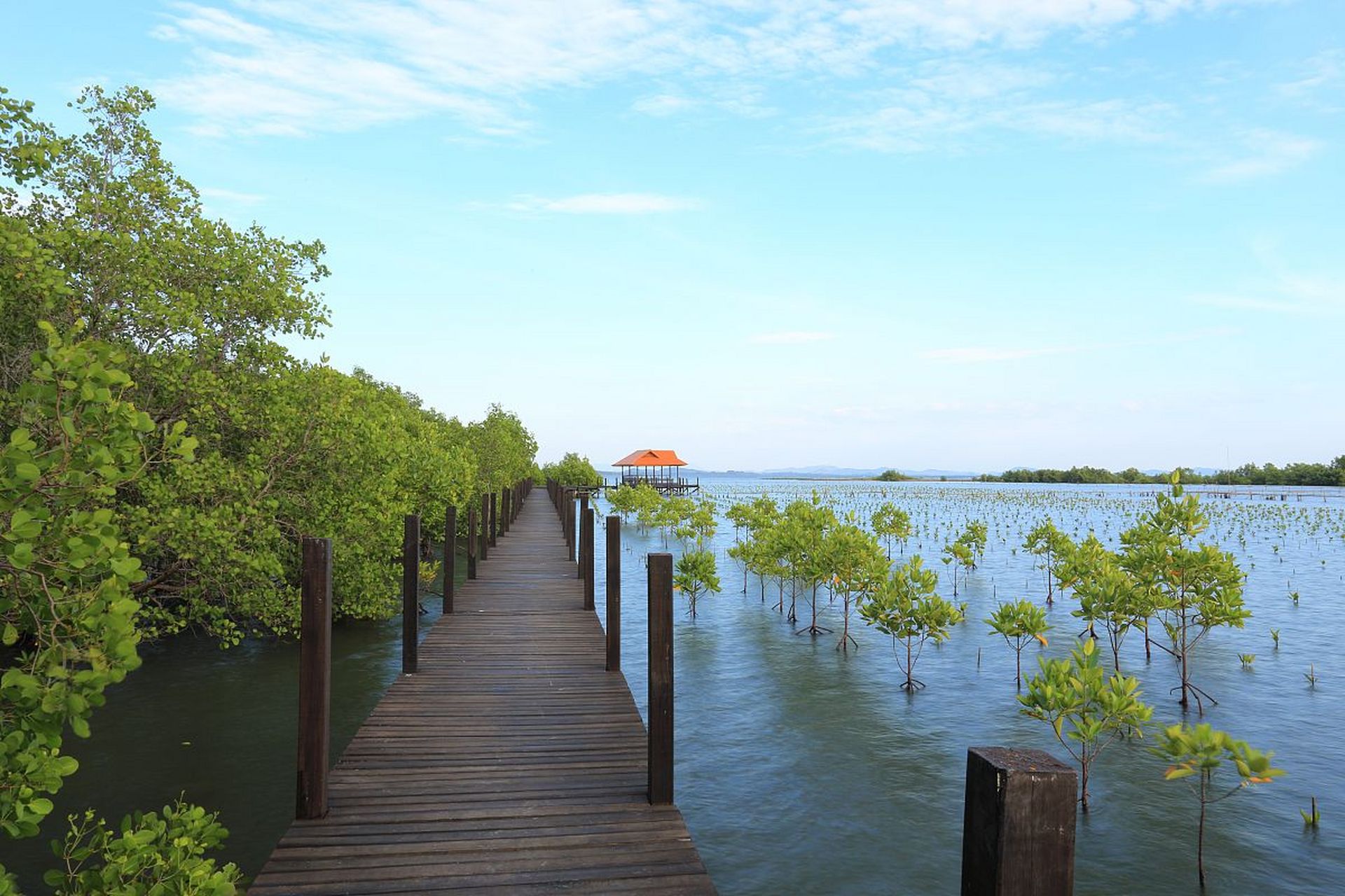红树林是深圳最著名的自然景观之一,位于深圳市福田区南部,是一个集