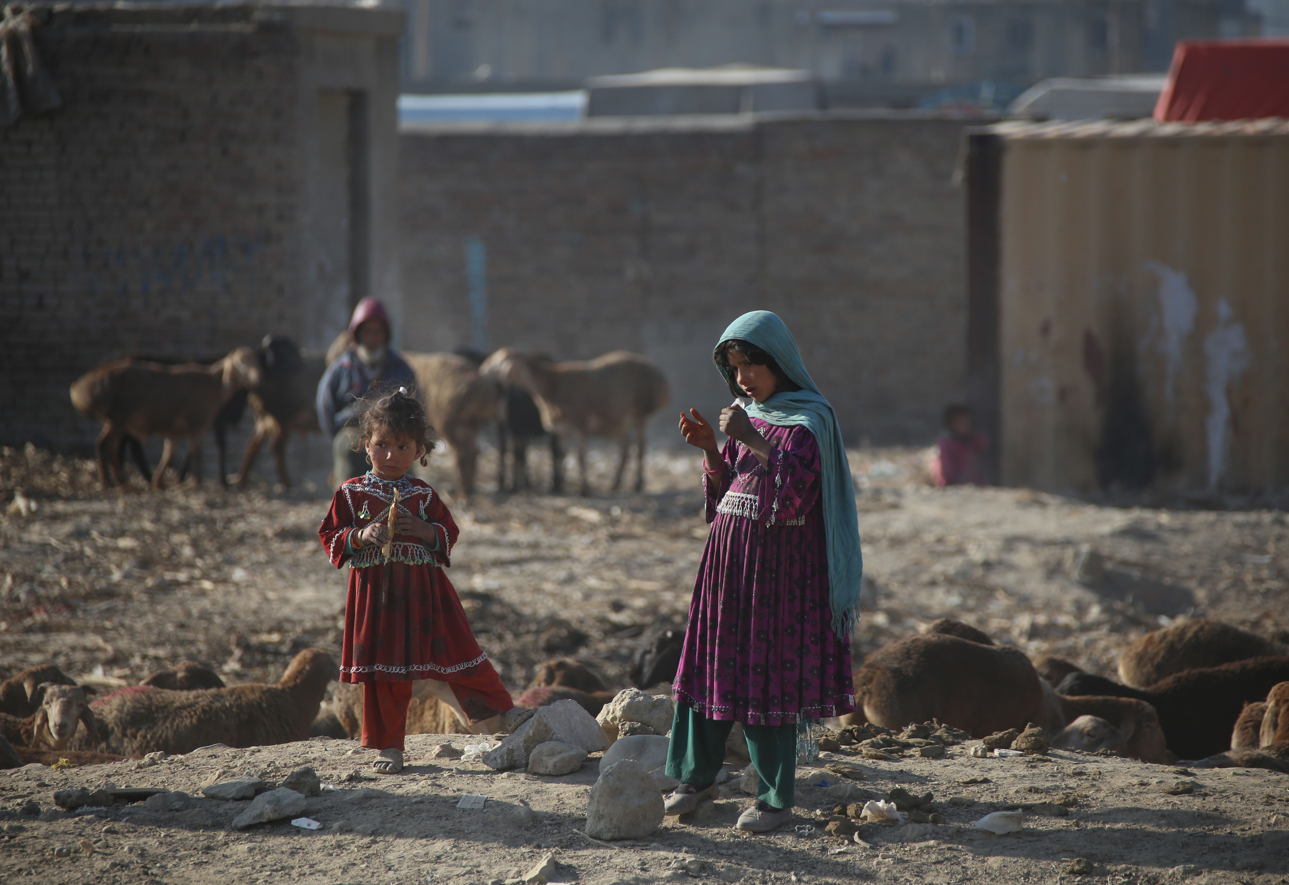 世界儿童日:阿富汗370万学龄儿童无书可读