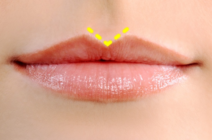 上唇笑起来很平.这些人是这个地球上最负责任,最可靠的人.