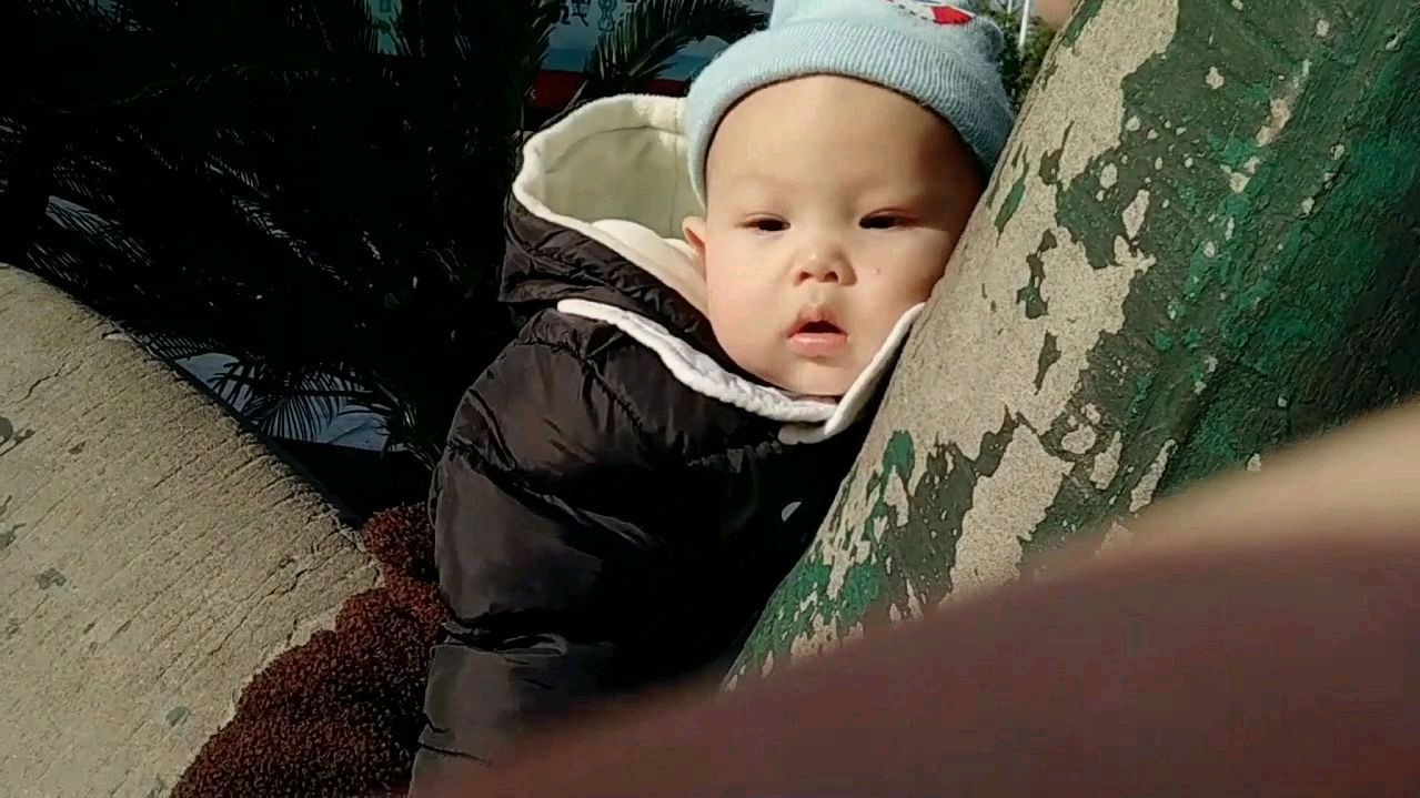一脸很不开心的表情呢,骑恐龙不好玩吗?