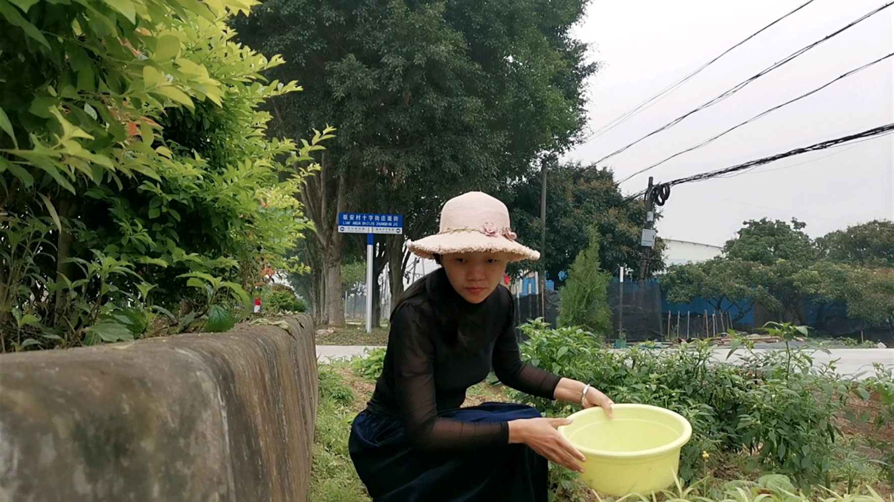 安娜学做艾草糯米糍粑,出锅惊喜,配上艾草黄酒煮鸡,香甜爽口
