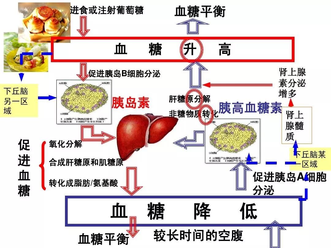 基層糖尿病:糖尿病患者的低血糖管理策略