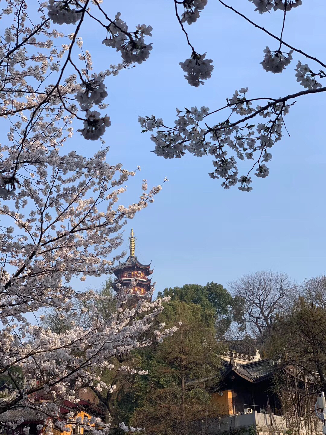 南京鸡鸣寺春天图片