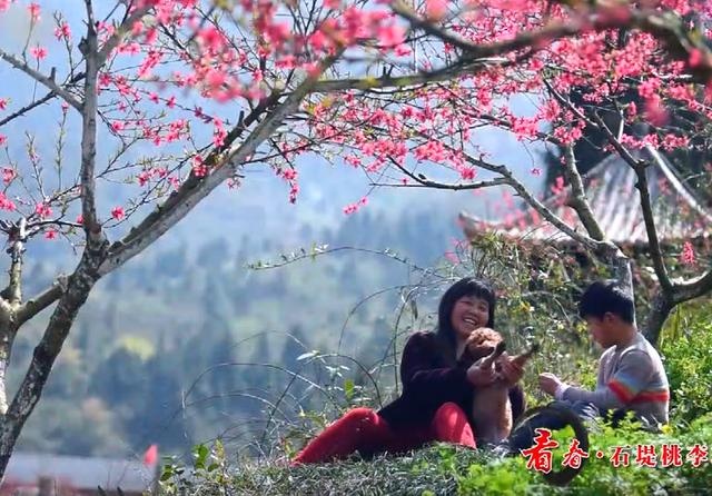 看春永顺石堤桃李花开如梦