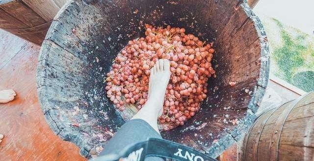 脚踩的食物你愿意吃吗?这三种用脚踩出来的食物,你绝对吃过一种