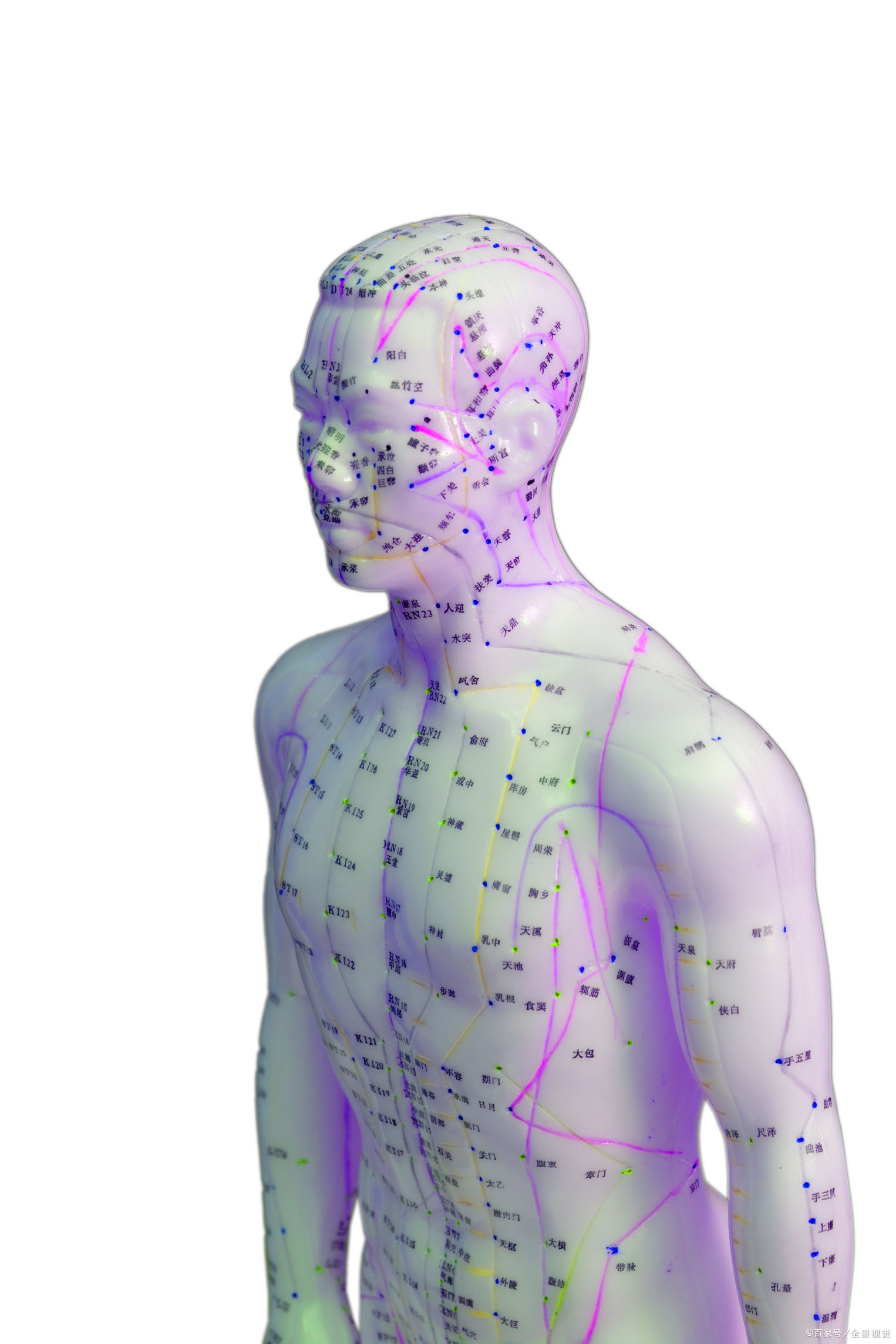 人体的发动机,是哪条经络