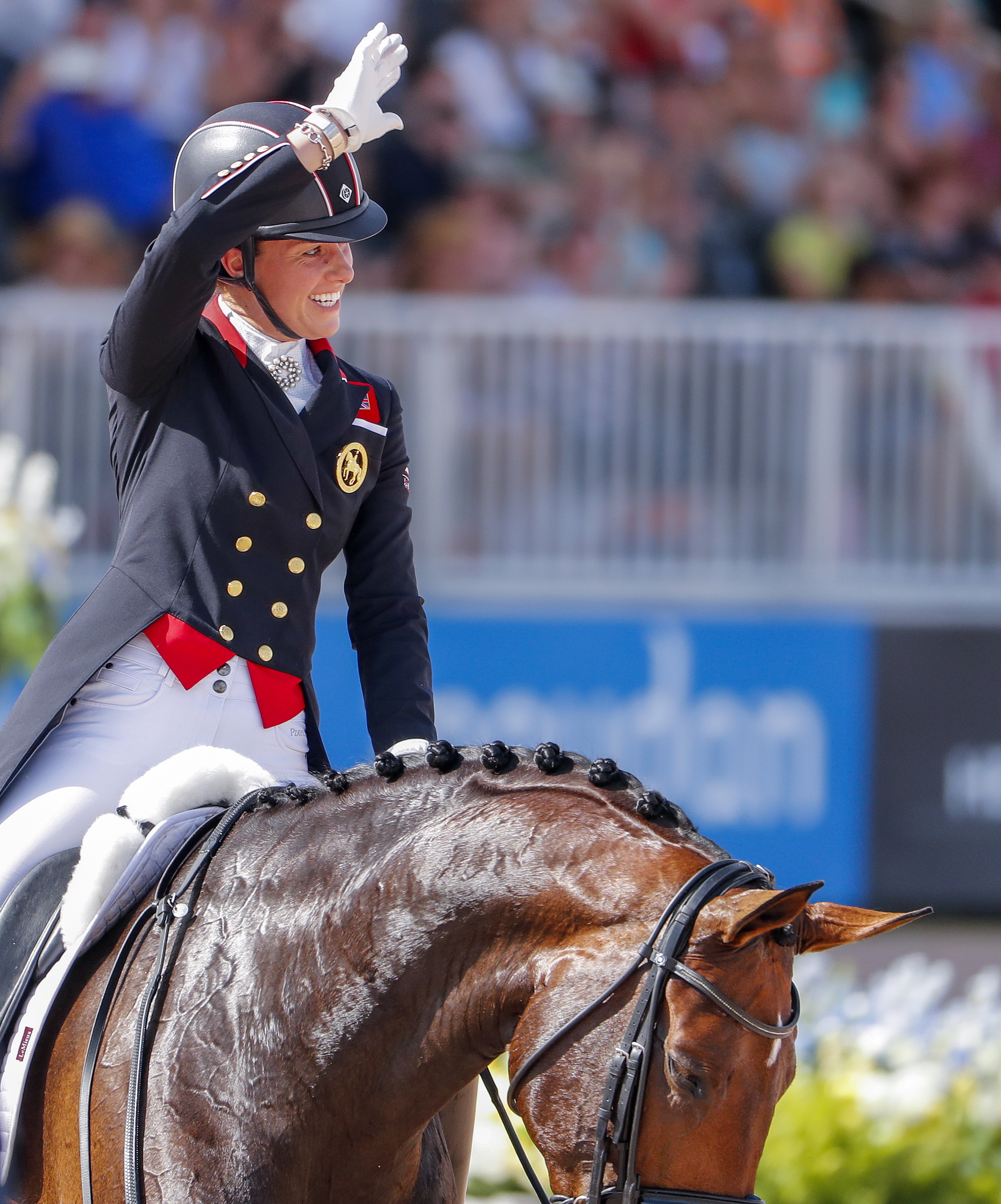 马术——世界运动会赛况(26)