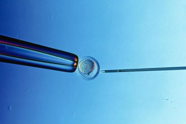 2025年最新正规借卵医院有哪些推荐(今日分享借卵供卵正规平台)