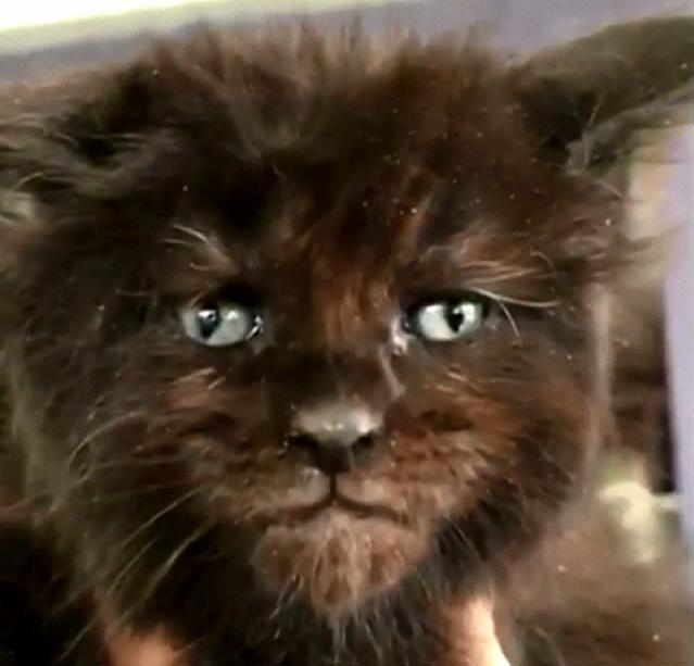 疫情中,你也有这些生活中的苦恼吗?