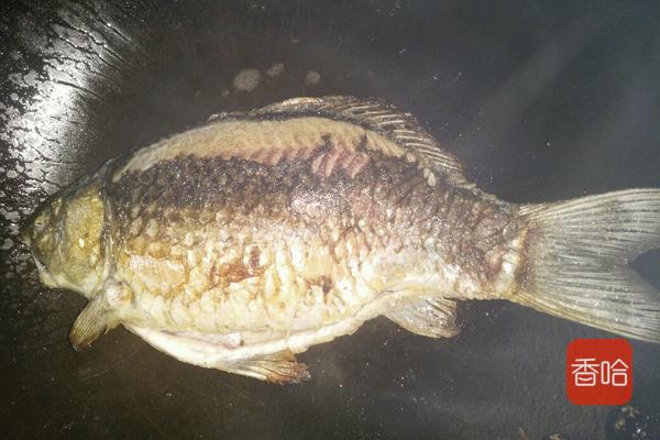 分享豆瓣鲫鱼的家常做法,煎鱼不破皮不粘锅,吃起来特别入味儿 分享豆瓣鲫鱼的家常做法,煎鱼不破皮不粘锅,吃起来特别入味儿
