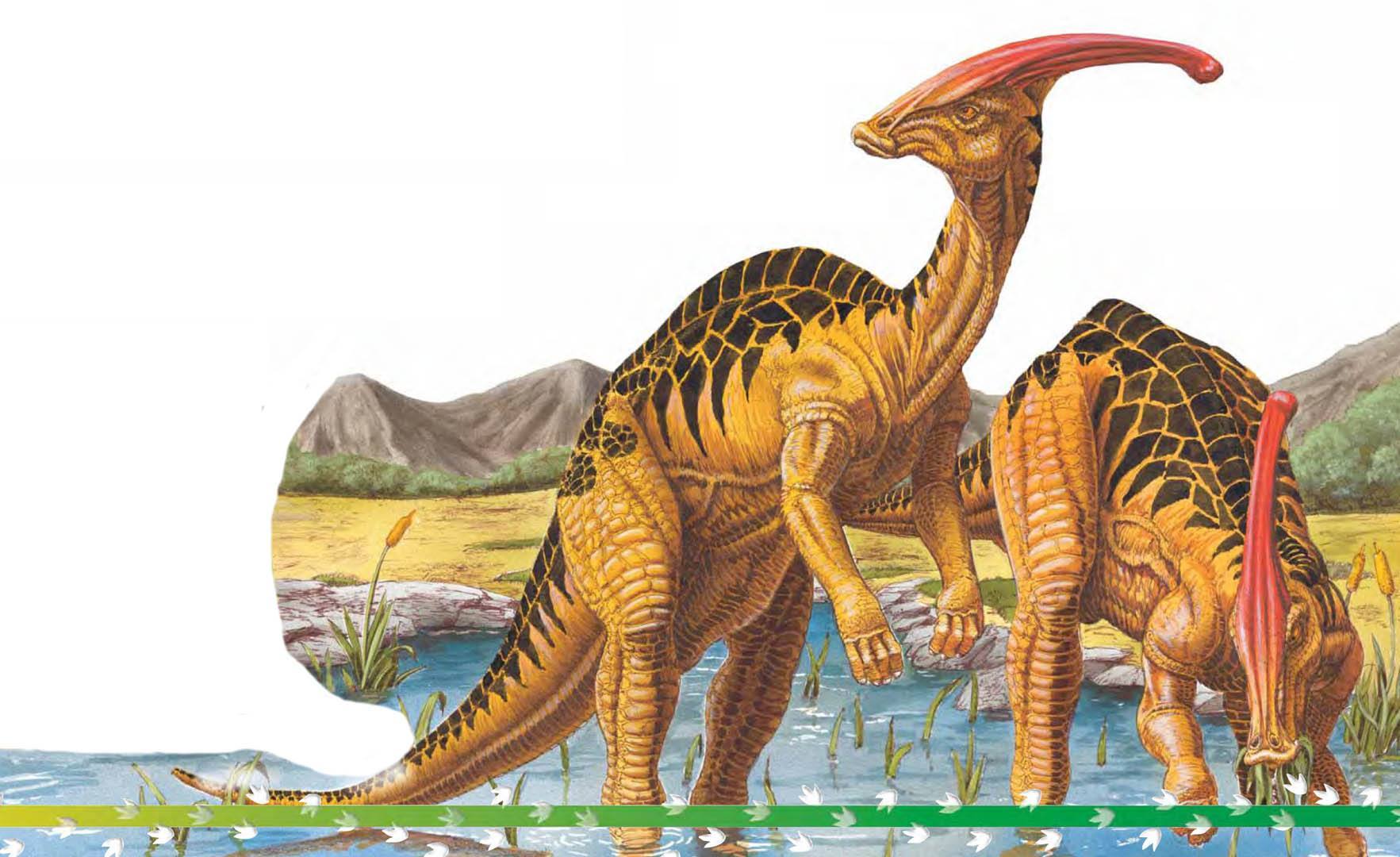 阿根廷龙,暴龙,食肉牛龙,副栉龙的介绍