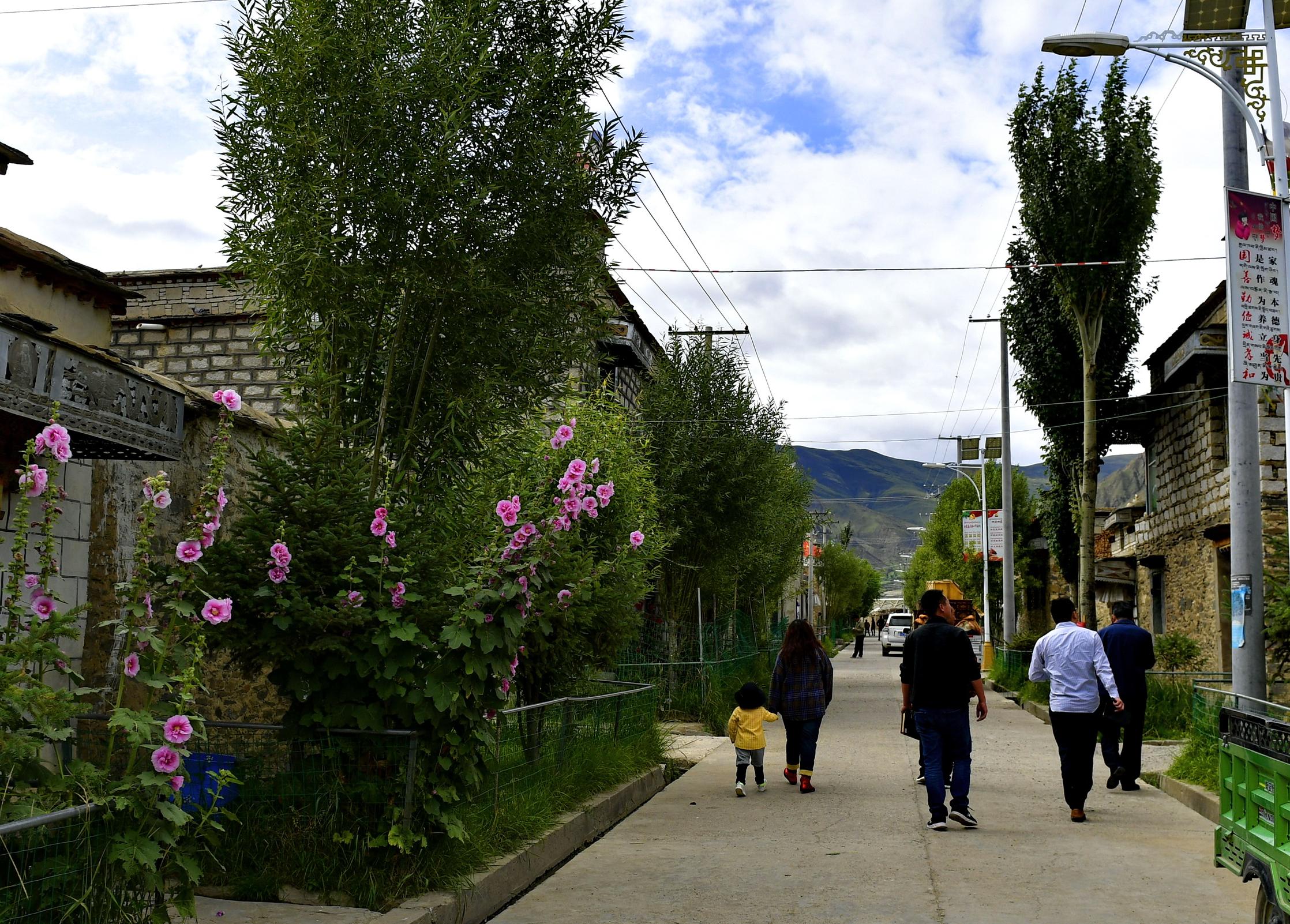 雪域高原美丽乡村"养成记"