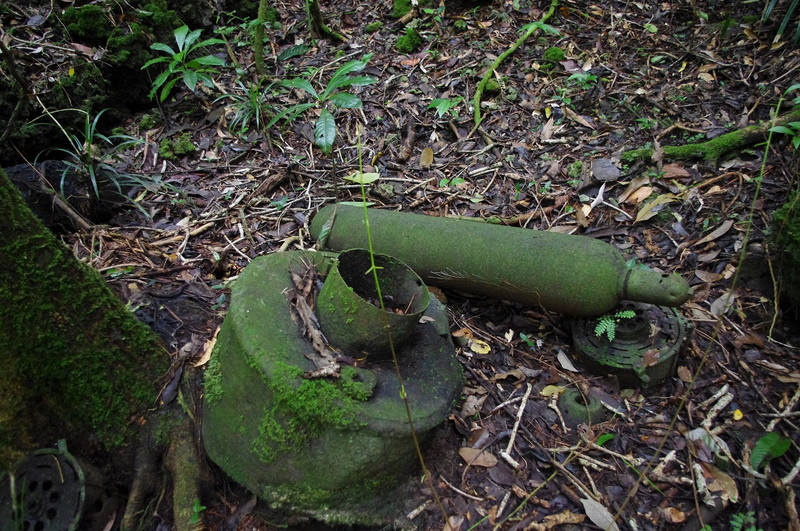 以卵击石,佩莱利乌岛战役中的日本九五式轻型坦克