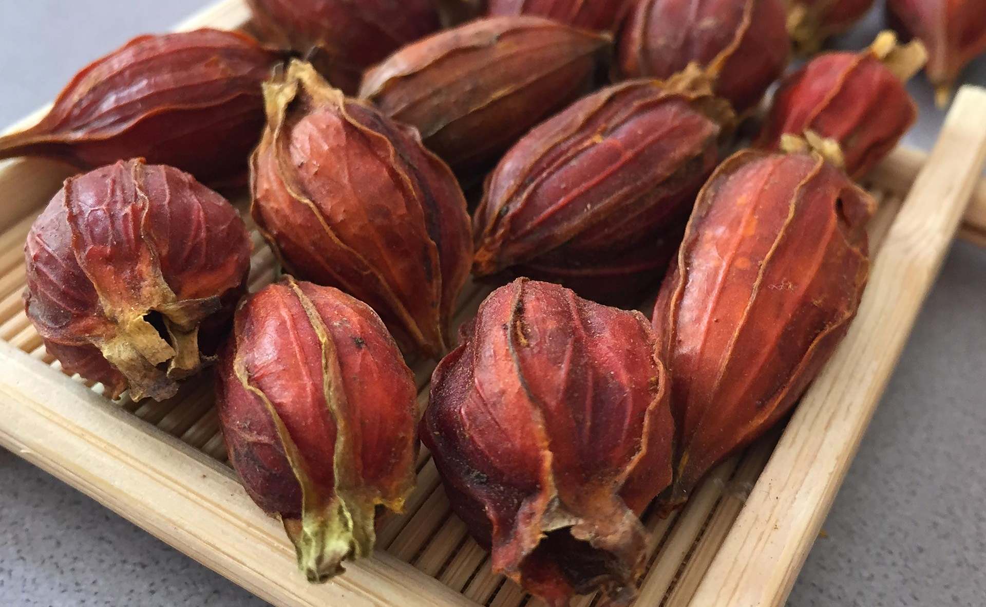 你用自己的爱心呵护山栀,它就会用自己的能力帮助你,来试试吧