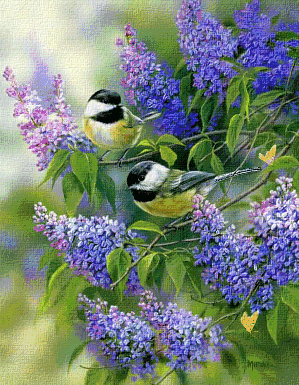 583_750竖版 竖屏gif 动态图 动图