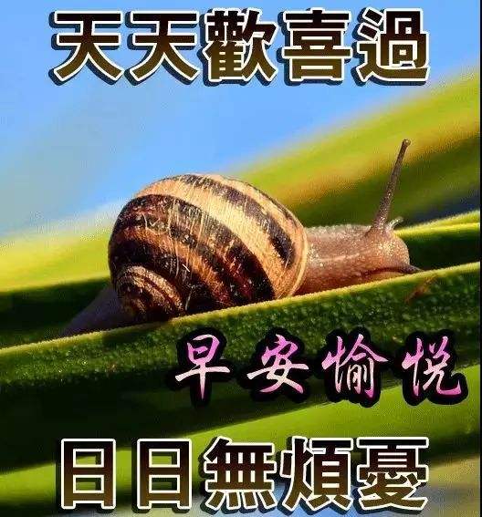 清晨超幸福暖心早安问候语录,早安图片祝福表情图片