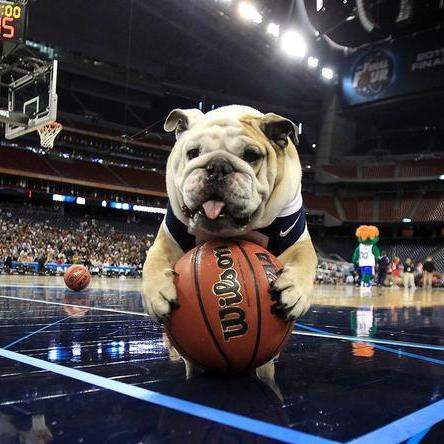 人气真高!周琦比赛一持球,全场欢呼