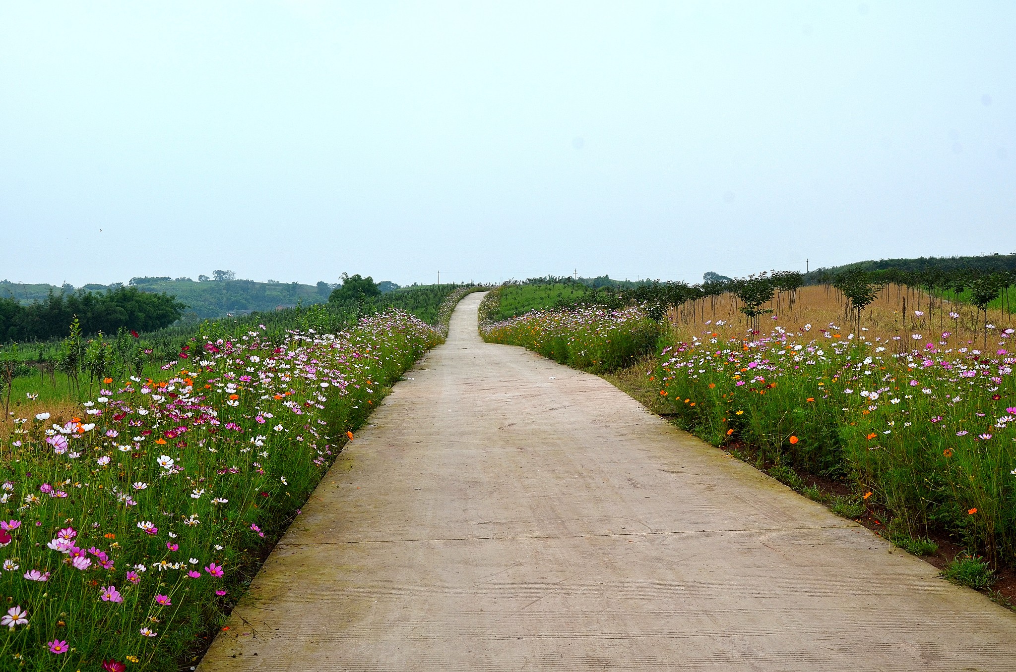 四川農村對比貴州農村,明明是兩鄰居,差距卻十萬八千里