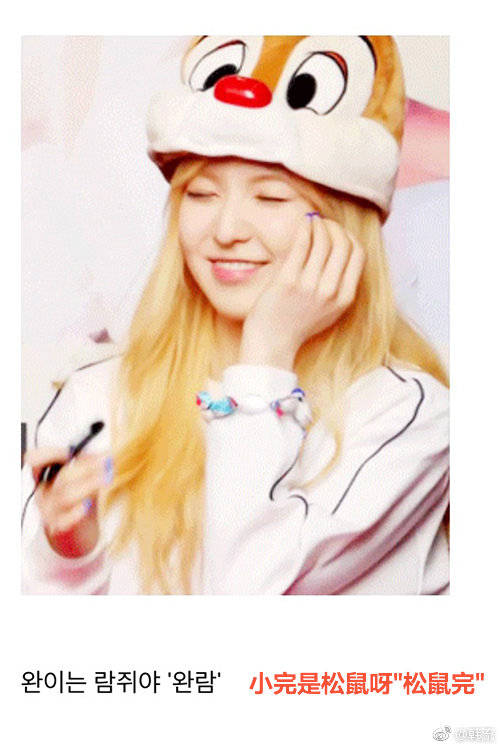 松鼠相还是狗狗相 让粉丝发生分歧的女爱豆redvelvet wendy!