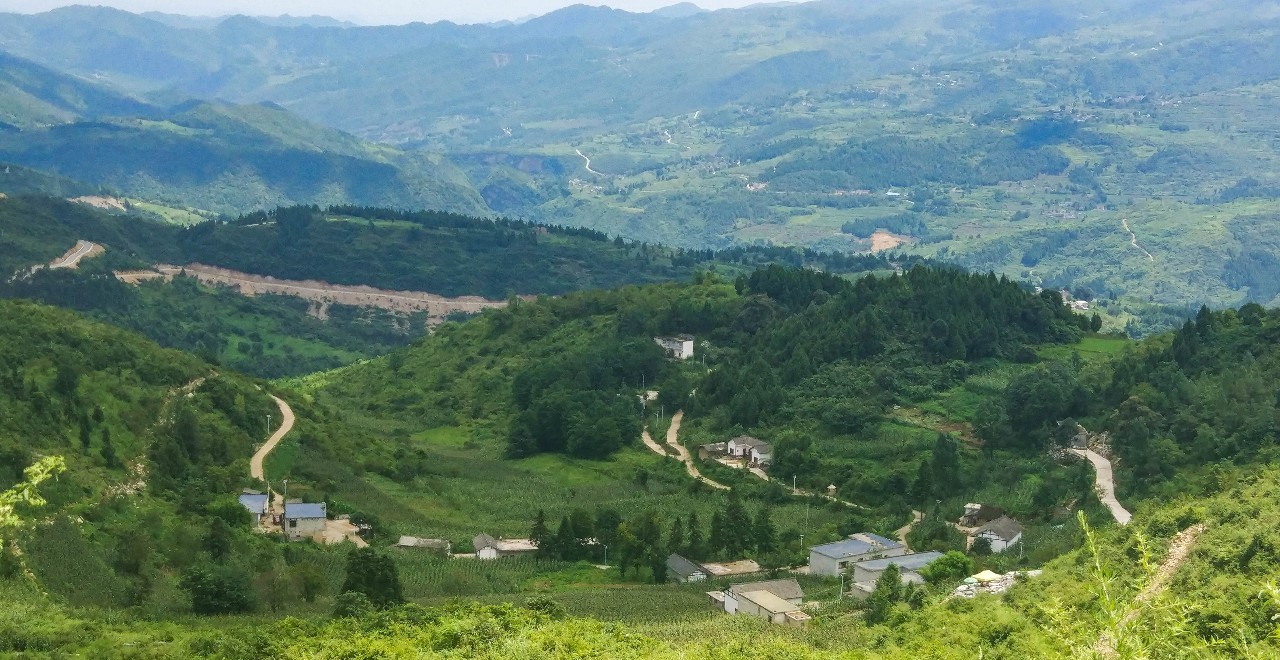 大方县瓢井镇三合村:农村综合环境治理出"奇招"