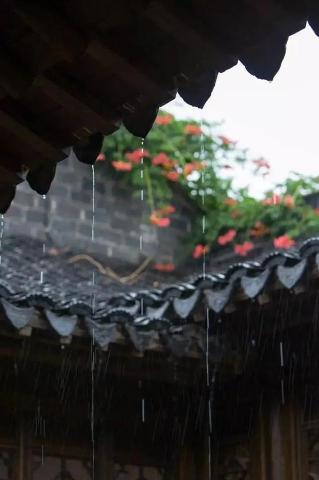 50句雨天的唯美句子:青春是一场大雨