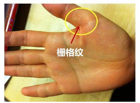 有这种掌相纹路的女人,生来吃穿不愁的千金小姐,小姐脾气可不小