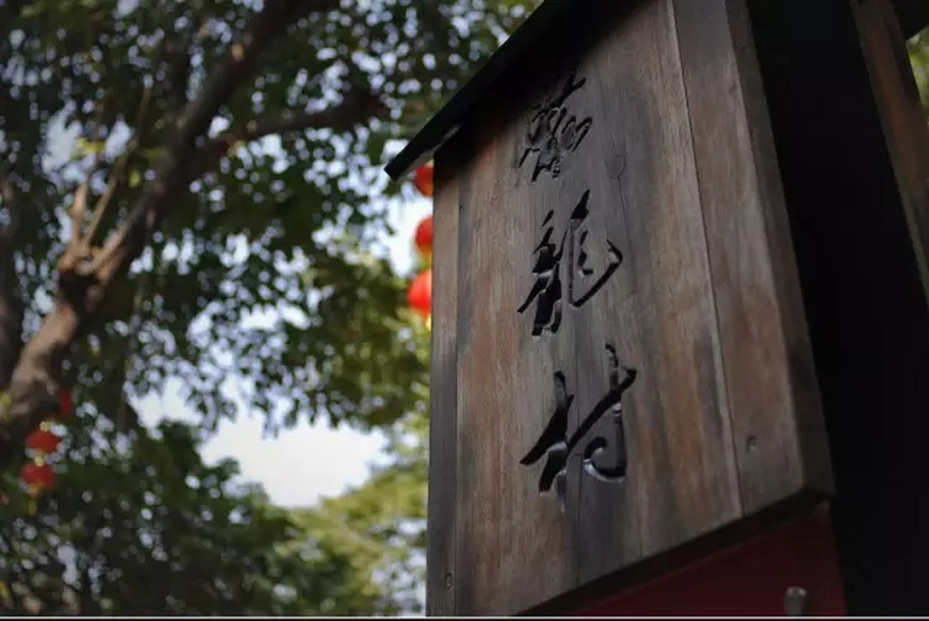 遇见好风景#遇见美好 聚龙村位于广州市荔湾区冲口街.