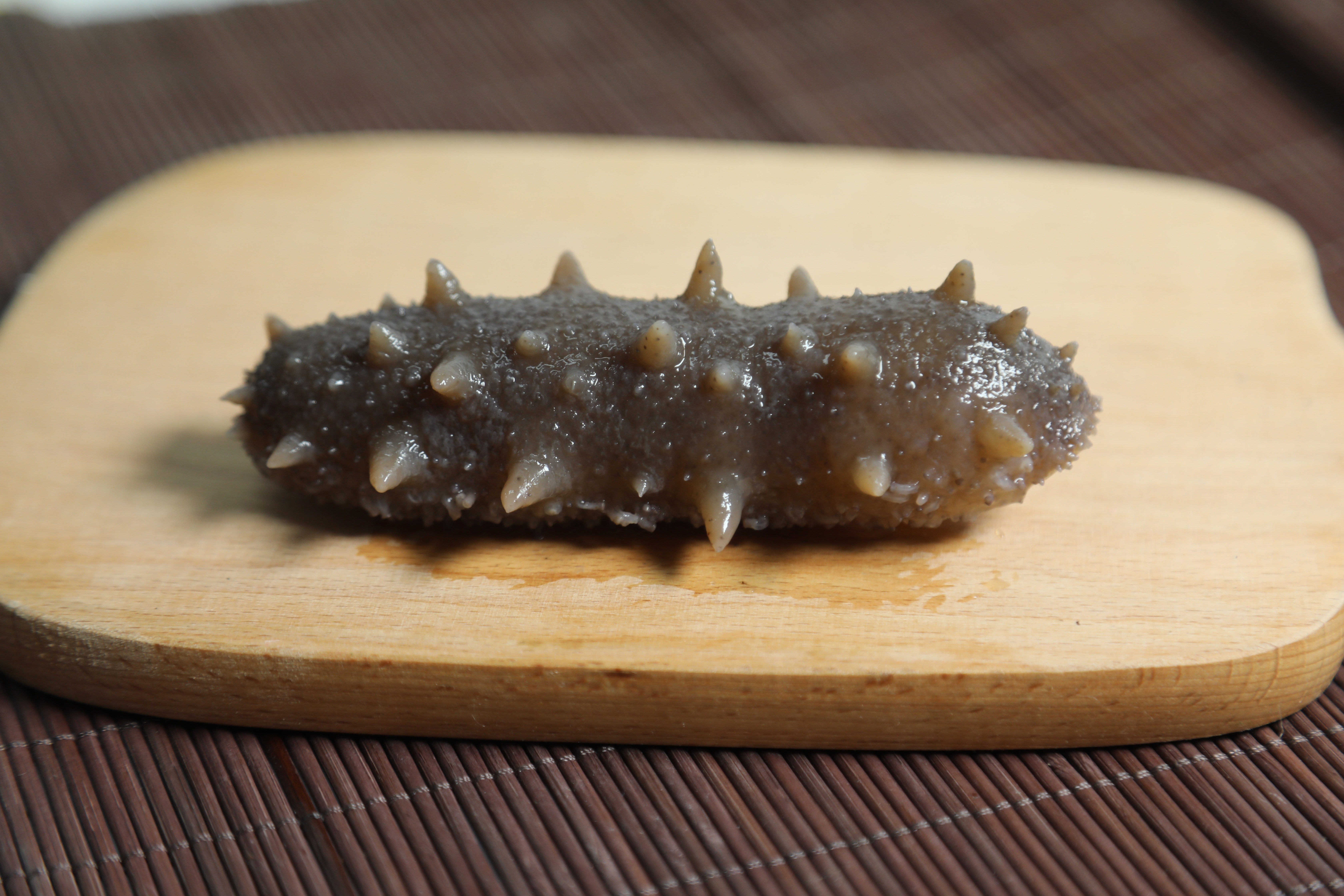 20年女渔民手把手教你如何鉴别野生海参