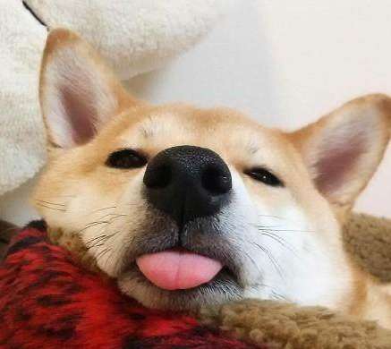 陈昱霖INS账号被扒出,奢侈生活令人拙舌,被爆