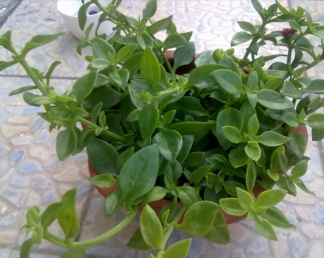 玻璃 热门商品专区