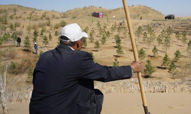 韩国人在中国沙漠种树,树长大了应该归谁?网友:看看蚂蚁森林!