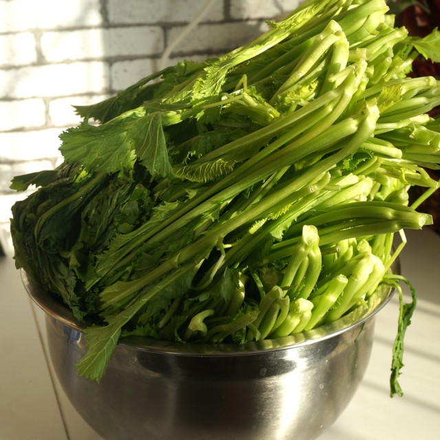 第1步,秋末冬初之时,新鲜雪里蕻择去老叶,清洗干净,沥干水