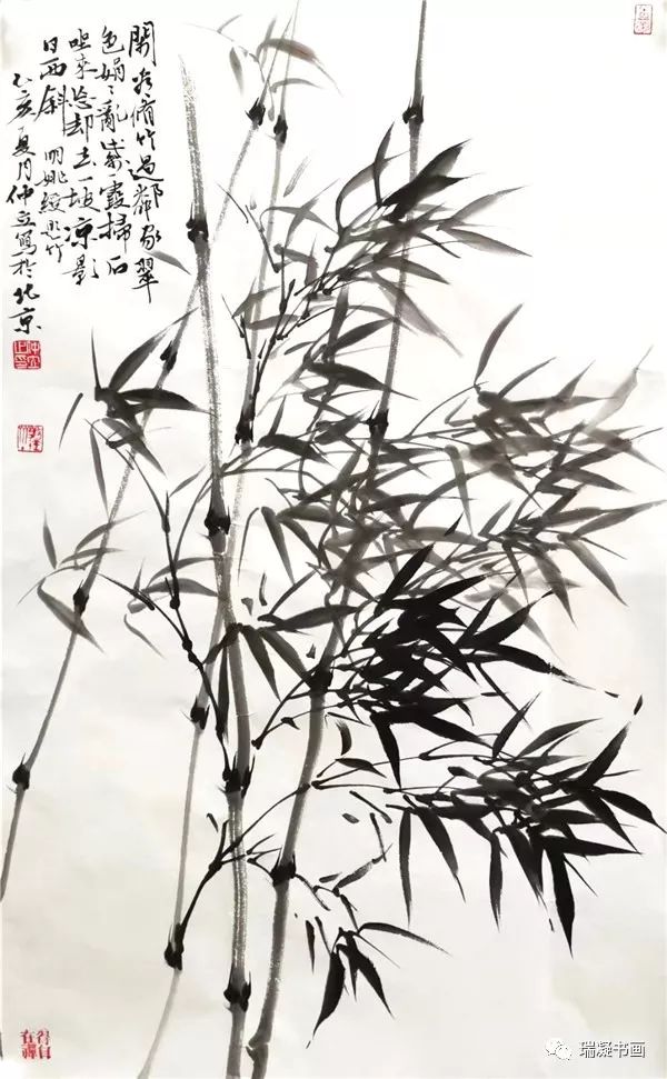 瑞凝书画 仲立老师花鸟画专题