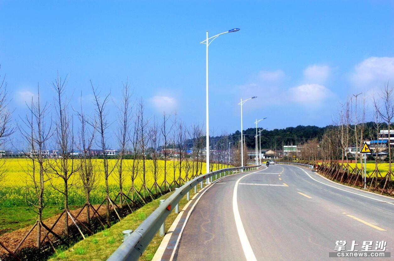 长沙县果园镇:繁荣田汉文化 打造文旅标杆